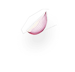 Onion